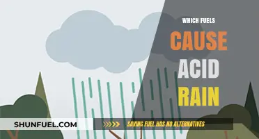 Fuels Behind Acid Rain: Uncovering the Culprits and Their Impact