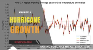 Unleashing the Storm: Key Factors Fueling Hurricane Intensity and Growth