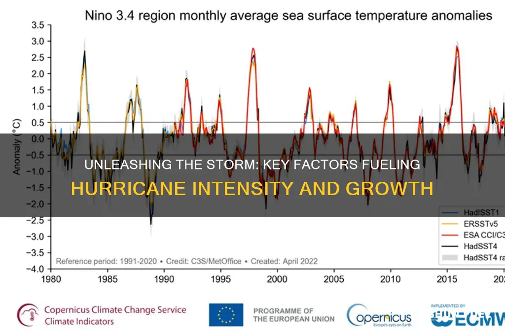 which fuels hurricane growth
