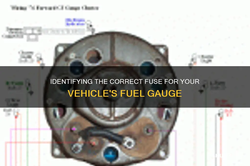 which fuse controls fuel gauge