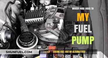 Identifying the Correct Fuse for Your Fuel Pump: A Quick Guide