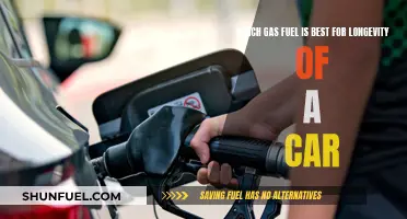 Best Gas Fuels for Extending Your Car's Life