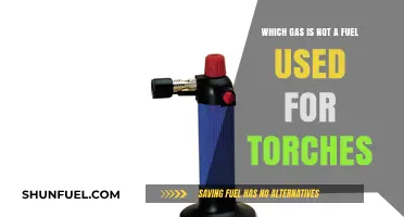 Unveiling the Non-Fuel Gas: What Torches Don't Burn