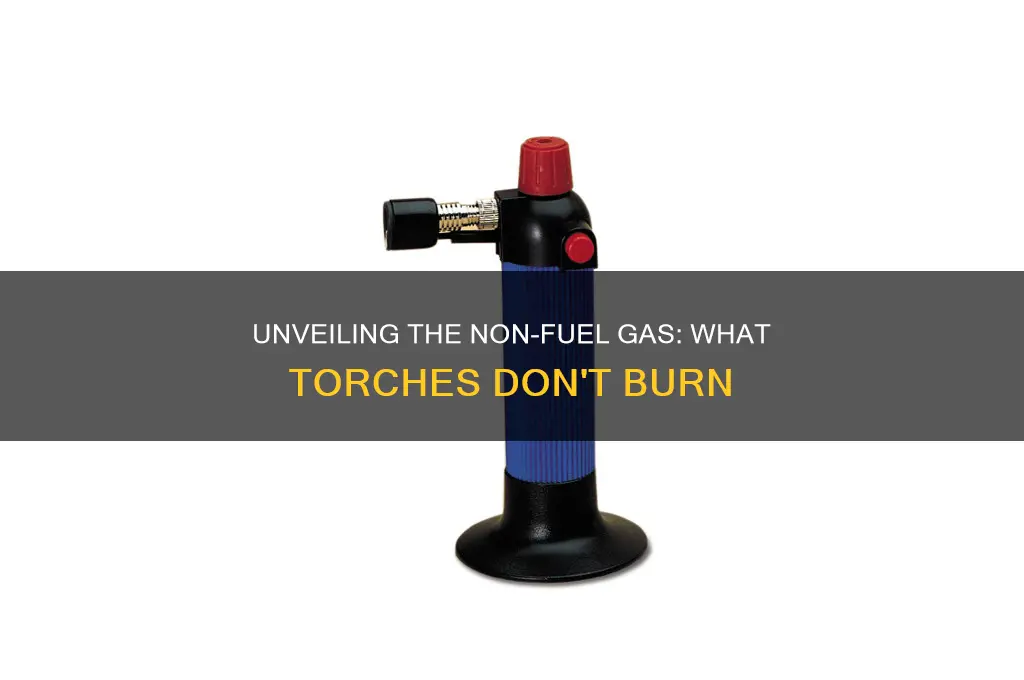 which gas is not a fuel used for torches