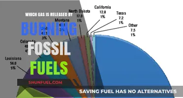 Burning Fossil Fuels: Unveiling the Released Greenhouse Gas