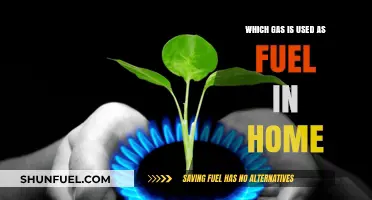 Natural Gas: The Primary Fuel for Home Heating and Cooking