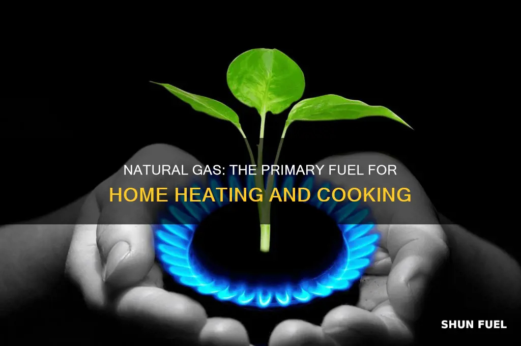 which gas is used as fuel in home