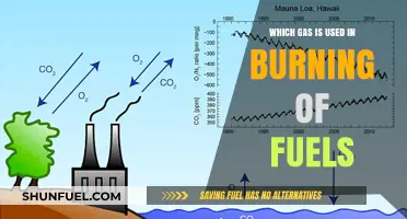 Understanding the Role of Oxygen in Fuel Combustion Processes