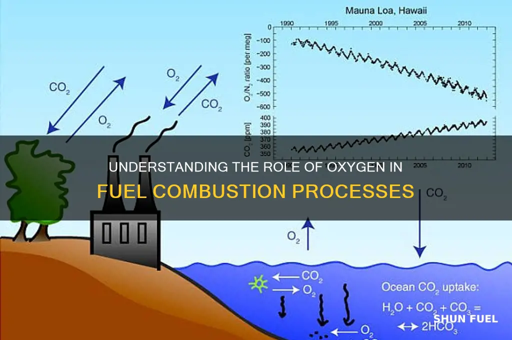 which gas is used in burning of fuels
