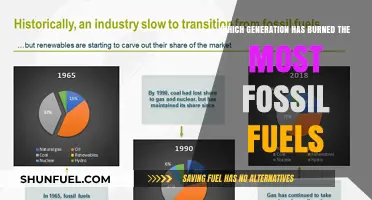 Fossil Fuel Consumption: Which Generation Holds the Greatest Responsibility?