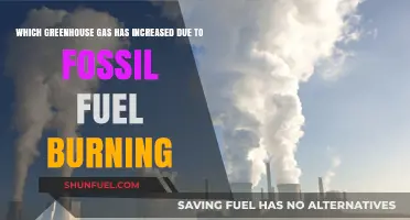 Fossil Fuel Burning's Impact: Which Greenhouse Gas Has Increased?