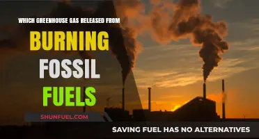 Fossil Fuel Combustion: The Primary Greenhouse Gas Emitted and Its Impact