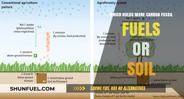 Soil vs. Fossil Fuels: Unveiling the Carbon Storage Champion