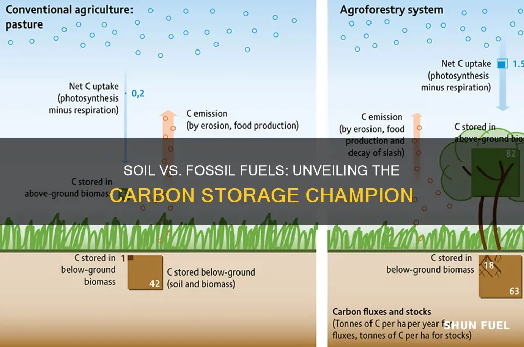 which holds more carbon fossil fuels or soil