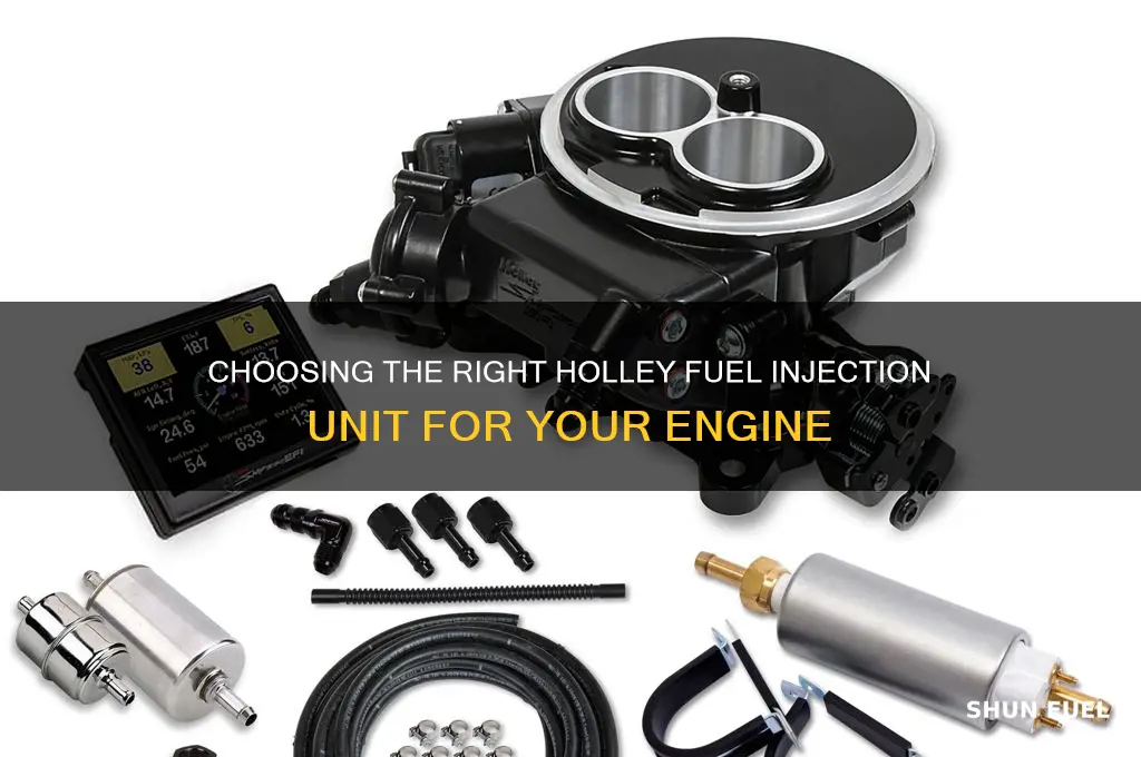which holley fuel injection unit