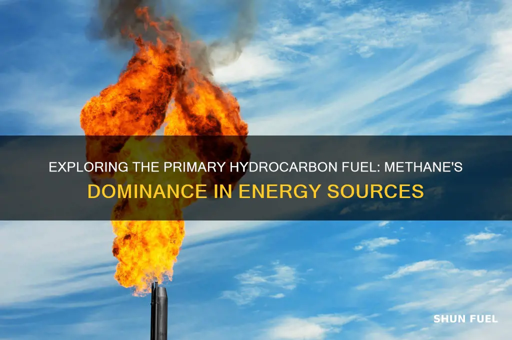 which hydrocarbon is mainly used as fuel