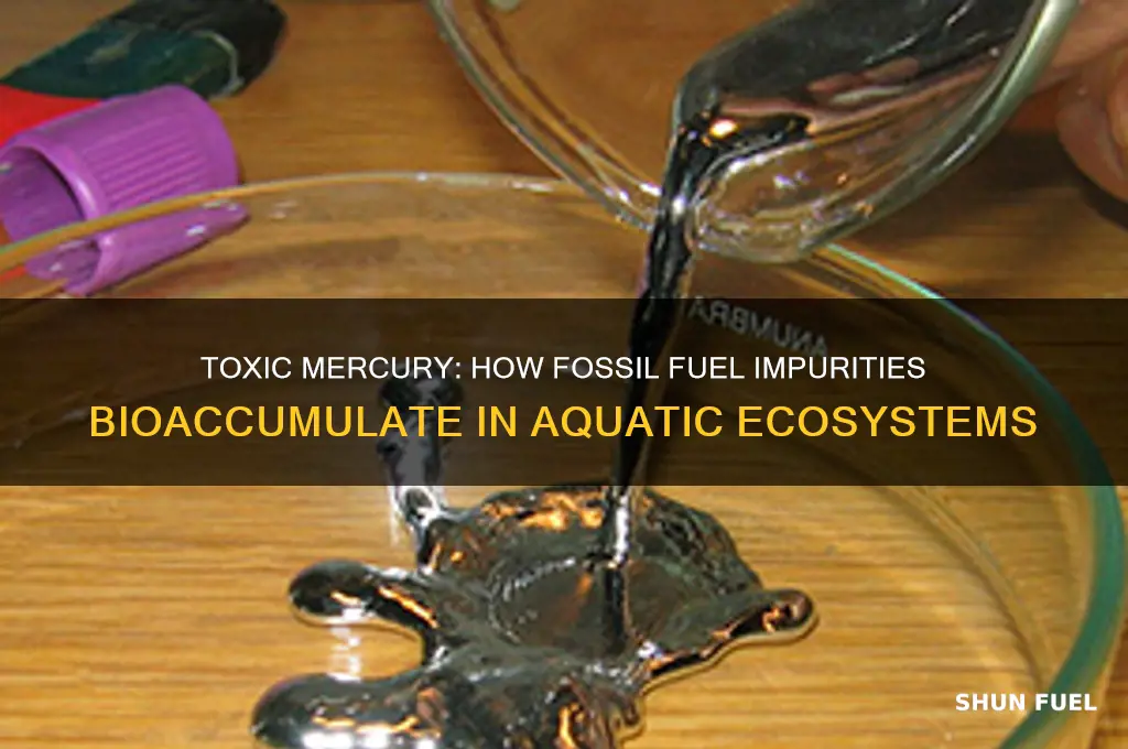 which impurity in fossil fuels can bioaccumulate in aquatic systems