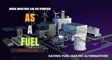 Hydrogen Fuel Potential: Transforming Transportation, Energy, and Manufacturing Industries