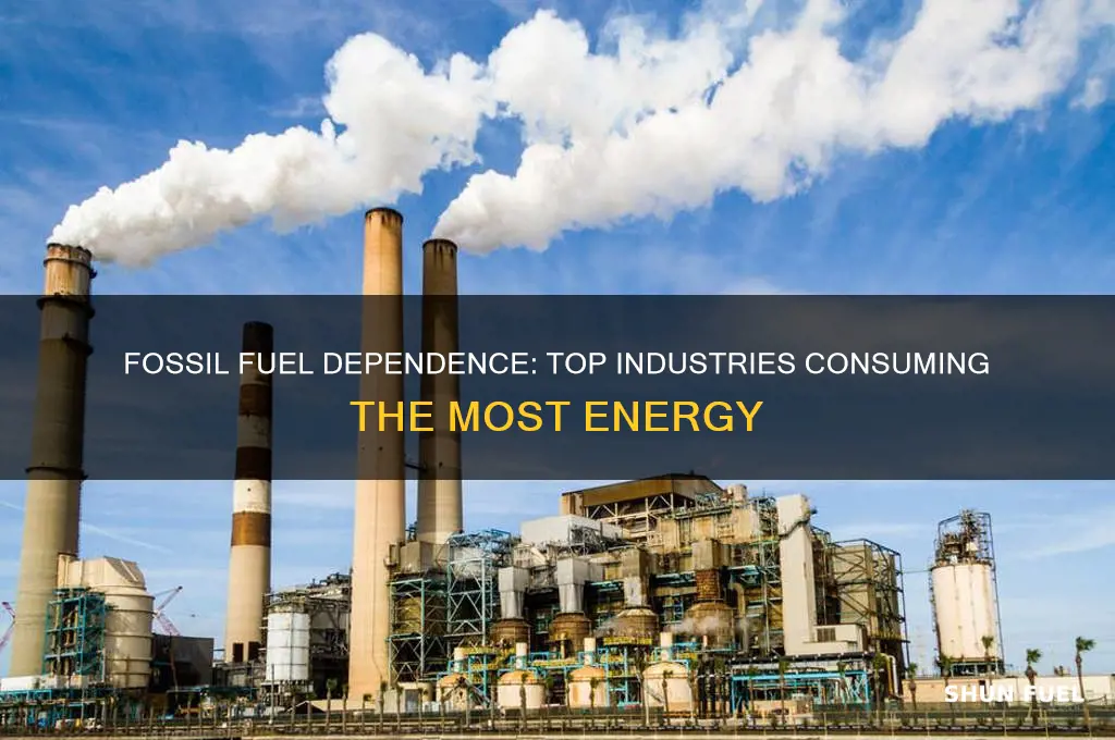 which industries use the most fossil fuels