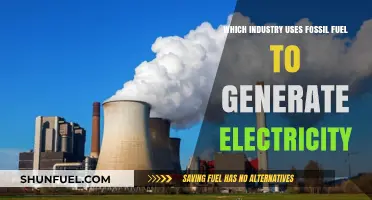 Fossil Fuel Dominance: Key Industries Powering Electricity Generation
