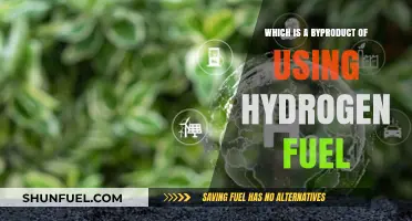 Hydrogen Fuel's Surprising Byproduct: Unlocking Clean Energy's Hidden Potential