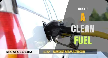 Exploring Clean Fuel Options: Sustainable Energy for a Greener Future
