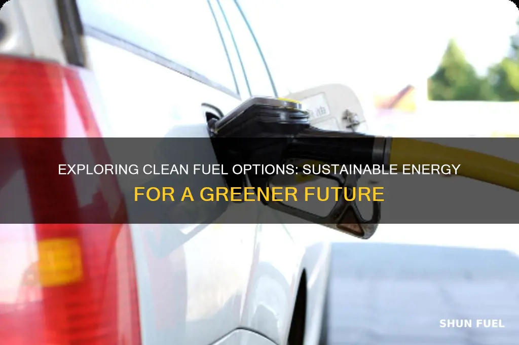 which is a clean fuel