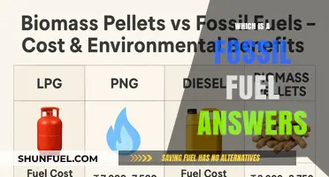 Understanding Fossil Fuels: Coal, Oil, and Natural Gas Explained