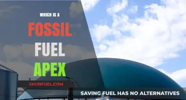 Fossil Fuel Apex: Unveiling the Dominant Energy Source Shaping Our World