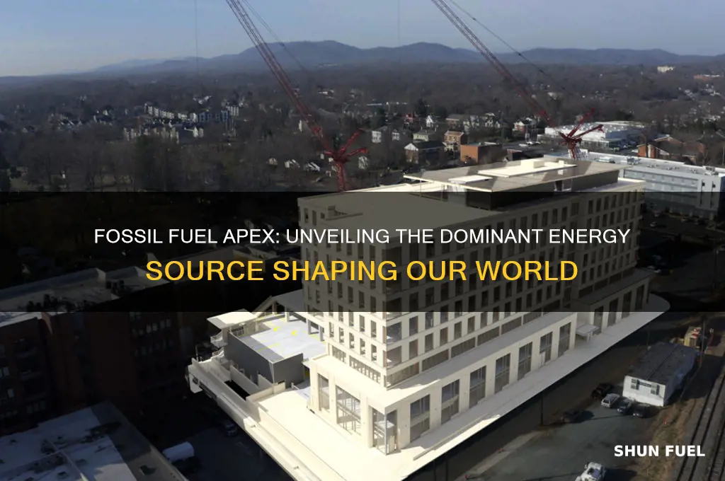 which is a fossil fuel apex