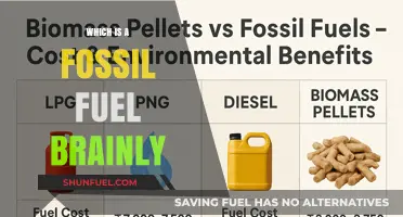 Understanding Fossil Fuels: Which is a Fossil Fuel Brainly Explained