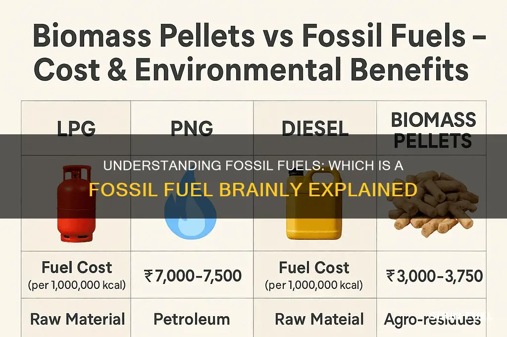 which is a fossil fuel brainly