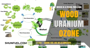 Coal, Wood, Uranium, Ozone: Identifying the True Fossil Fuel
