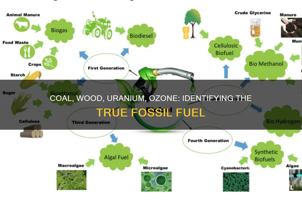 which is a fossil fuel coal wood uranium ozone