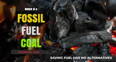 Understanding Coal: A Key Fossil Fuel and Its Global Impact