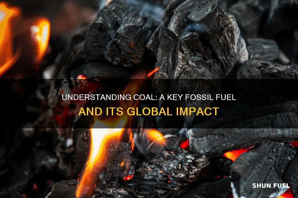 which is a fossil fuel coal