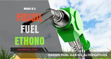 Understanding Ethano: Its Fossil Fuel Origins and Environmental Impact