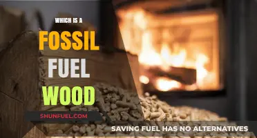 Is Wood a Fossil Fuel? Debunking Common Energy Myths