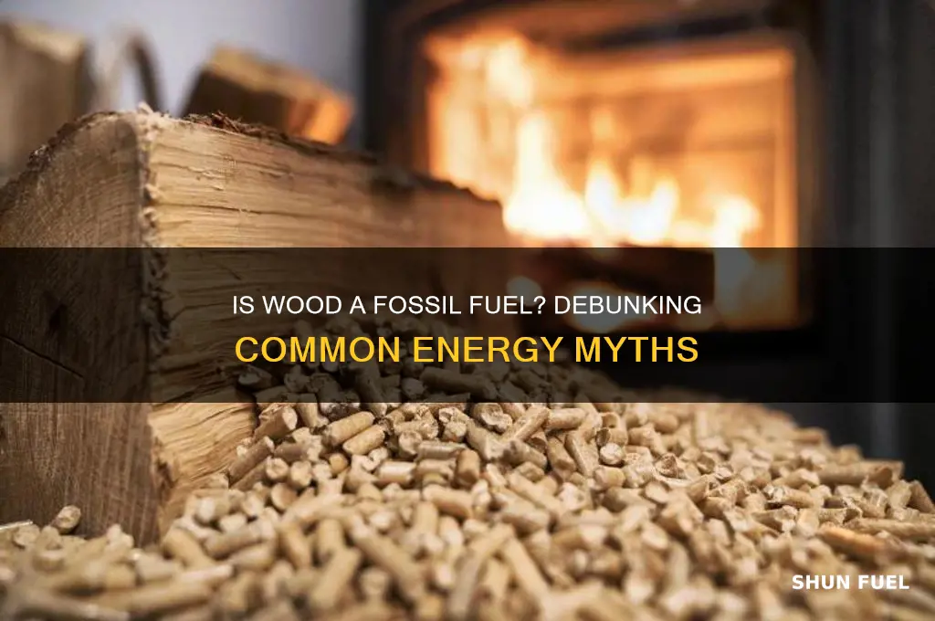 which is a fossil fuel wood
