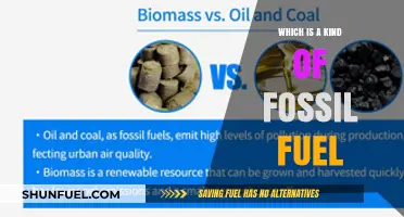 Exploring Fossil Fuels: Which Energy Source Fits the Category?