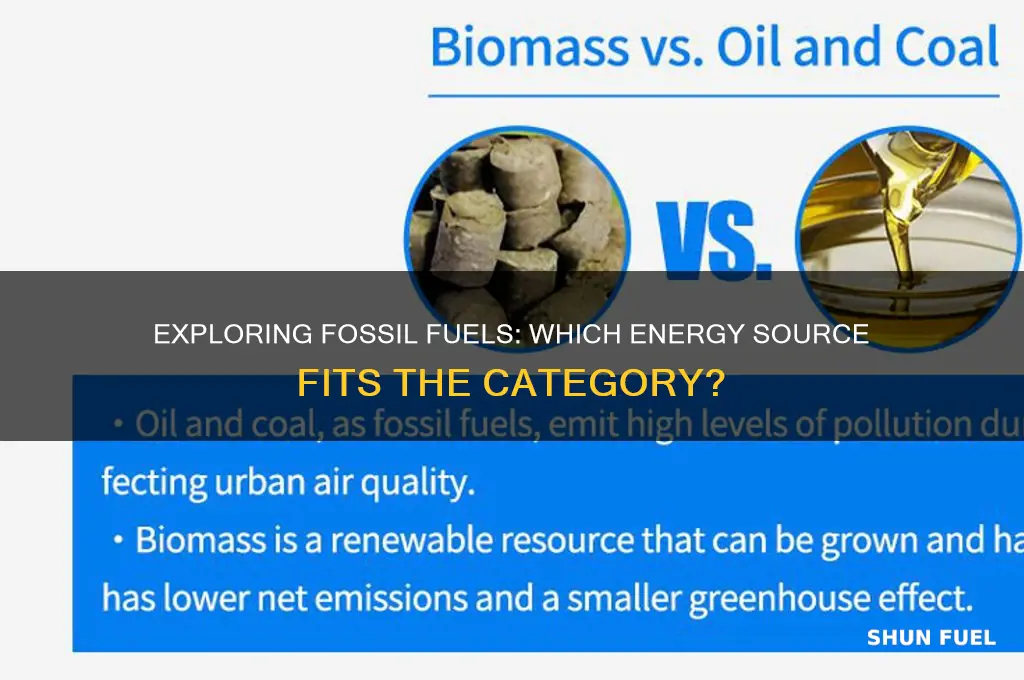 which is a kind of fossil fuel