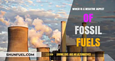 Fossil Fuels' Dark Side: Environmental Degradation and Climate Crisis