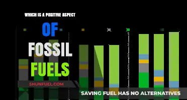 Fossil Fuels' Surprising Upside: Energy Reliability and Economic Growth