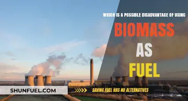 Biomass Fuel Drawbacks: Environmental and Economic Concerns Explored