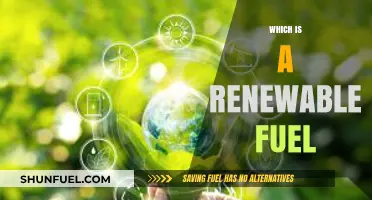 Exploring Renewable Fuel Options: Sustainable Energy for a Greener Future