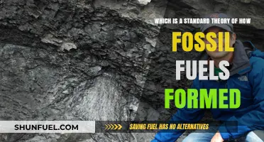 The Standard Theory Behind Fossil Fuel Formation Explained