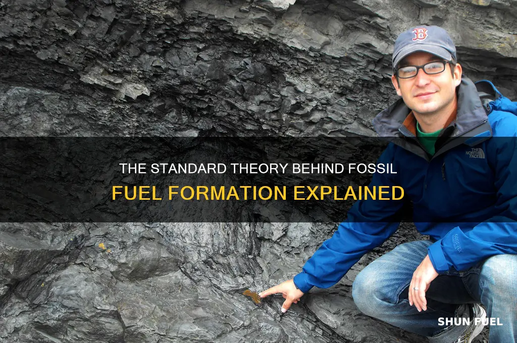 which is a standard theory of how fossil fuels formed