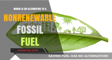 Sustainable Energy Solutions: Exploring Alternatives to Nonrenewable Fossil Fuels