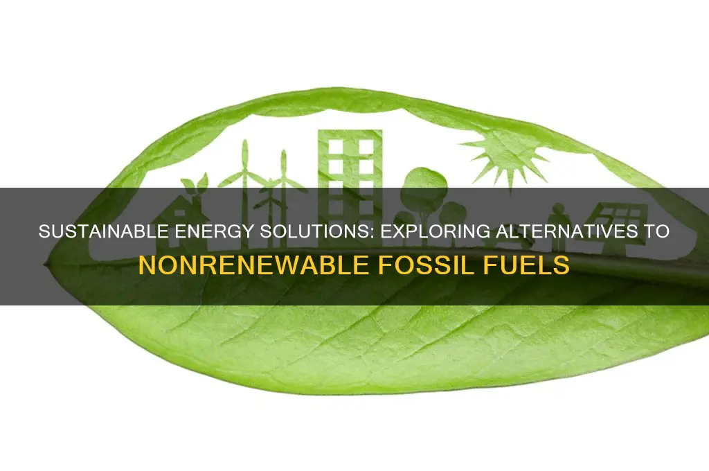 which is an alternative to a nonrenewable fossil fuel