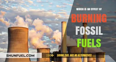 Burning Fossil Fuels: Climate Change, Pollution, and Environmental Impacts